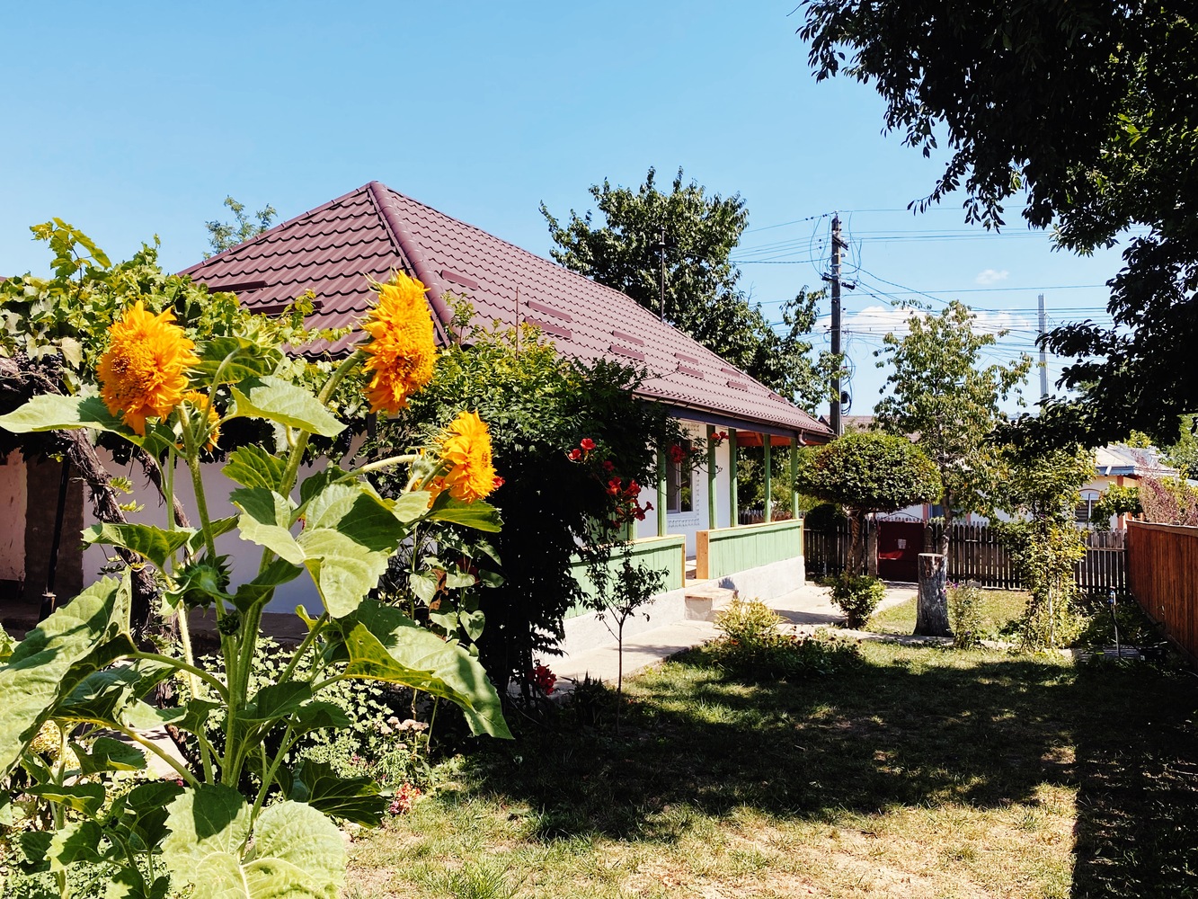casă chirpici