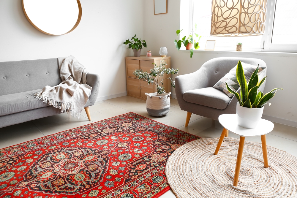 covor living dimensiune shutterstock