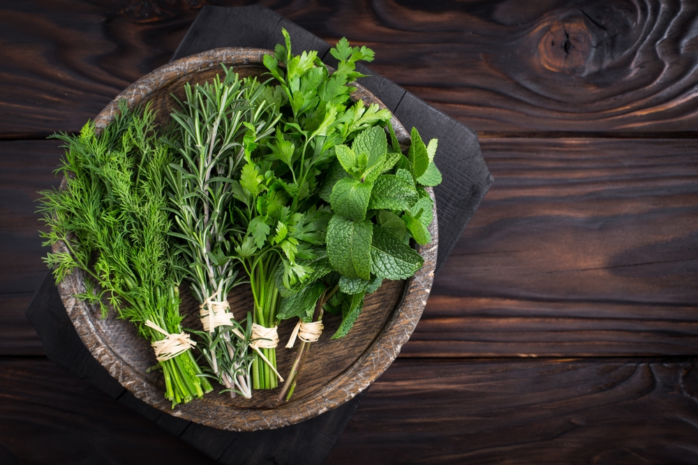 trucuri sa revitalizezi verdeturile ofilite shutterstock