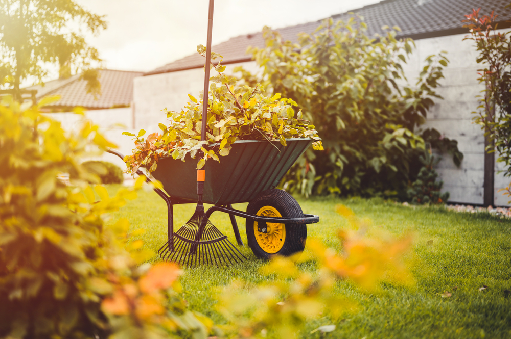 O roabă plină cu frunze și resturi de plante și ramuri tăiate în grădină toamna