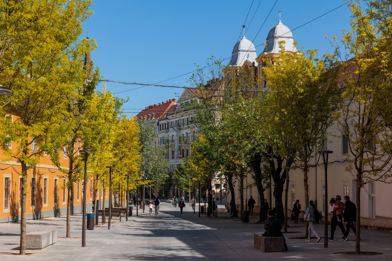 Strada Universității, locul care pulsează viață. Foto: visitcluj.ro