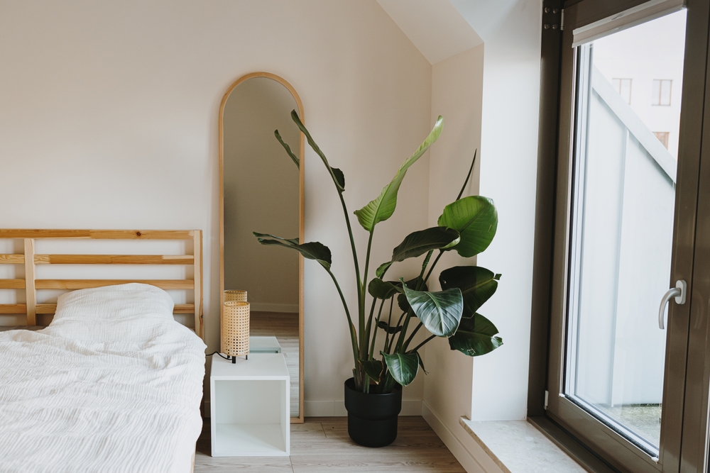 dormitor minimalist cu oglinda si planta