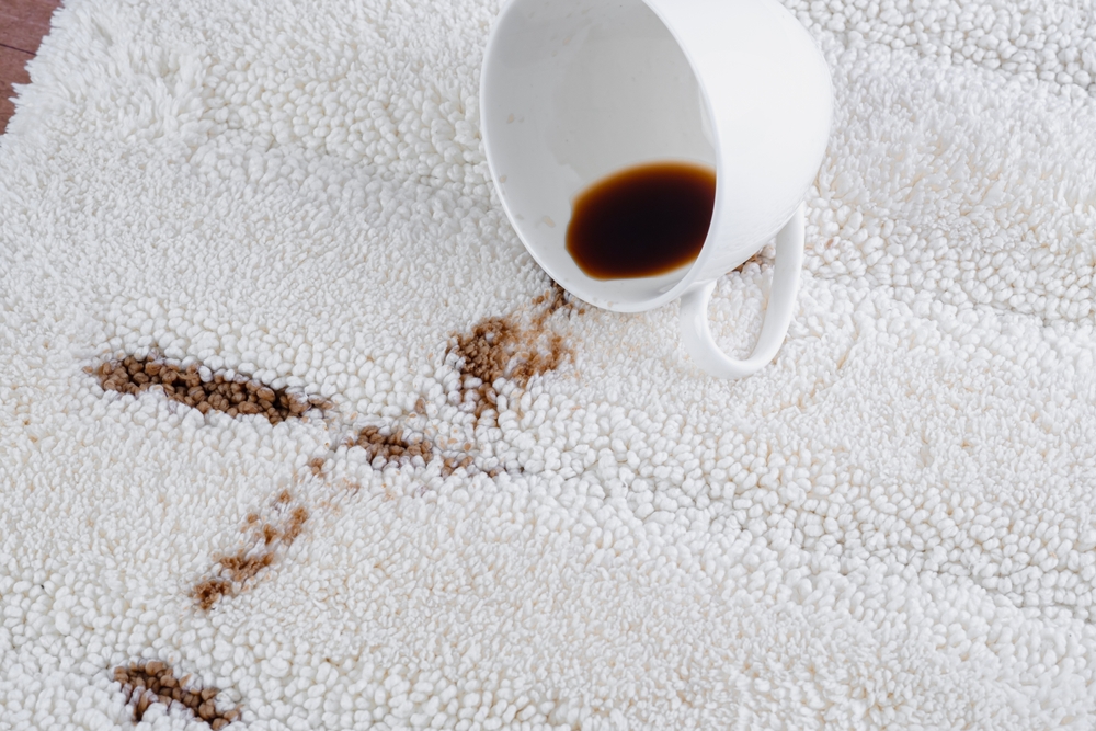 Curățare covor pufos: O ceașcă albă de cafea răsturnată pe un covor alb pufos. 