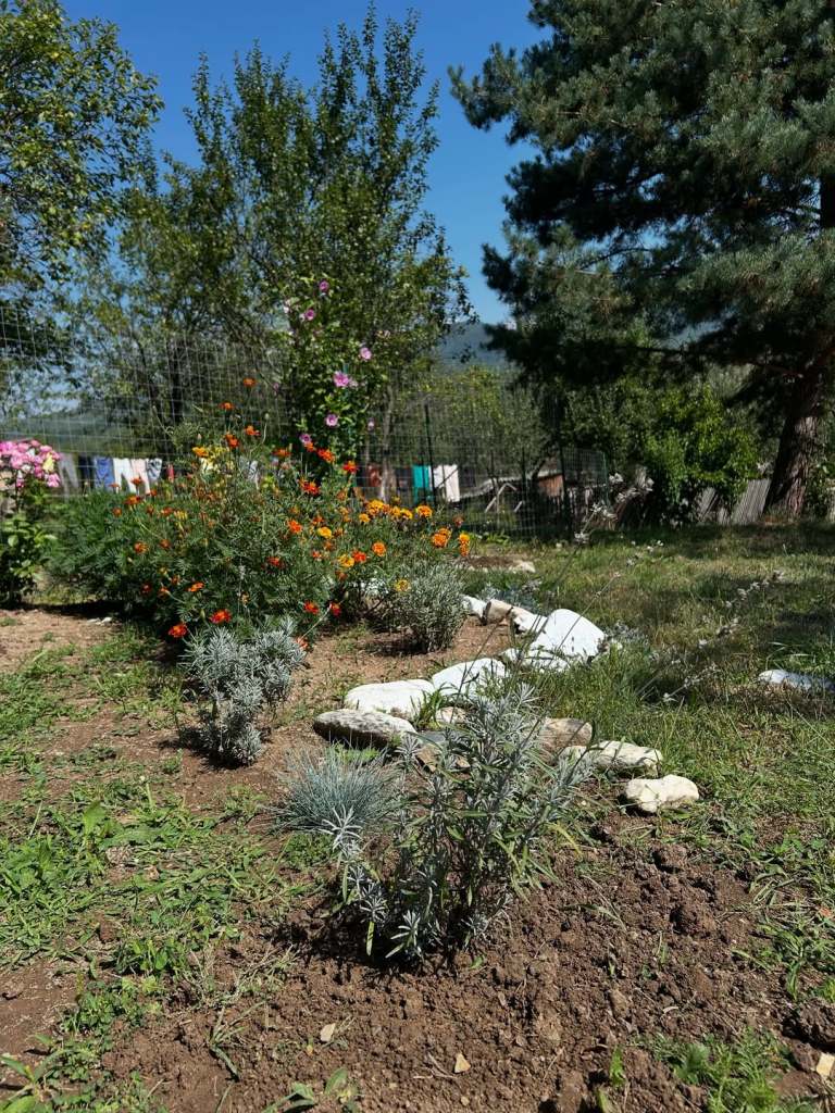 Terenul de 5400 de metri pătrați are pe lângă livada de pomi fructiferi și o grădină despre care Raluca spune că a trecut prin multe schimbări