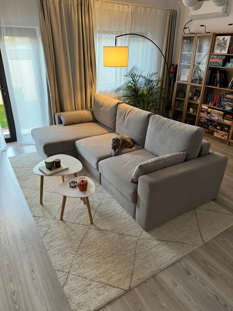 Designer-ul precizează cum beneficiarii s-au ocupat de partea de implementare