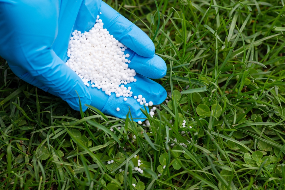 îngrășământ gazon pentru iarna fertilizare făcută de mana unui om cu mânași albastre