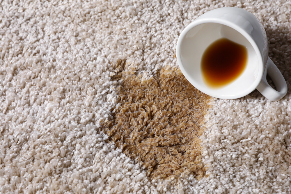 ceașca de cafea răsturnată pe covor pete de cafea
