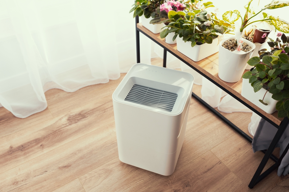 umidificator si plante contra aer uscat casa
