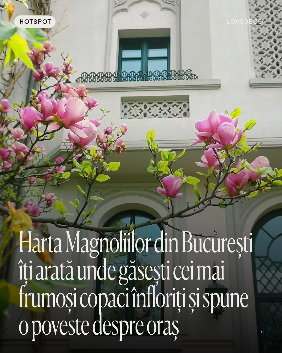 Instagram image